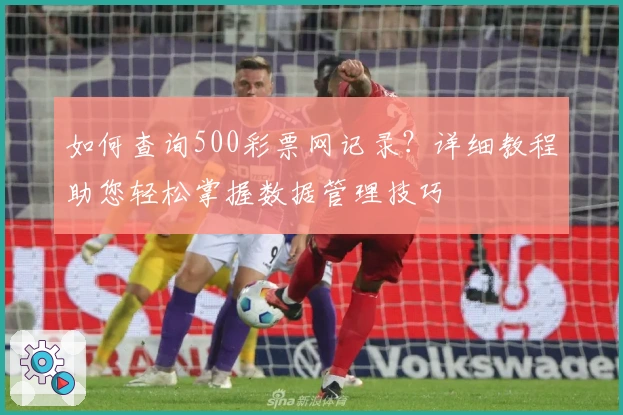 如何查询500彩票网记录？详细教程助您轻松掌握数据管理技巧